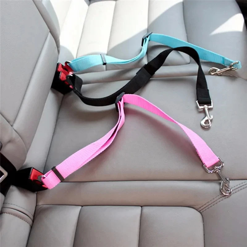 Guia com plugue de cinto de segurança para transporte de cachorro em carro.